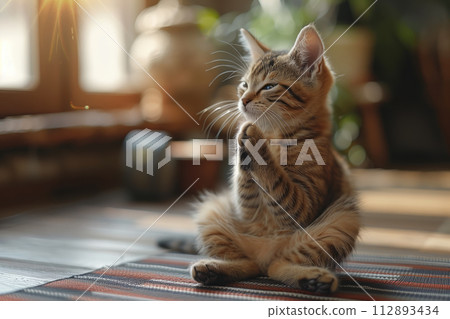 Cute kitten doing yoga at home on a rug 112893434