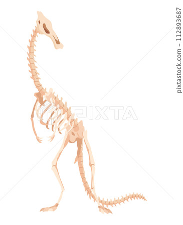 Dinosaur skeleton. Dino monsters icon. Shape of real animal. Sketch of prehistoric reptiles. Vector illustration isolated on white. Hand drawn sketch Dinosaur skeleton. Dino monsters icon. Shape of real animal. Sketch of prehistoric reptiles. Vector illustration isolated on white. Hand drawn sketch 112893687