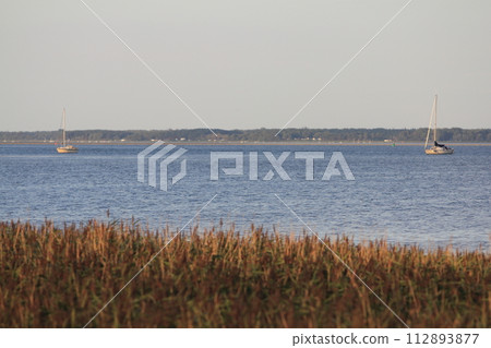 Bock Insel Deutschland Island Germany 112893877