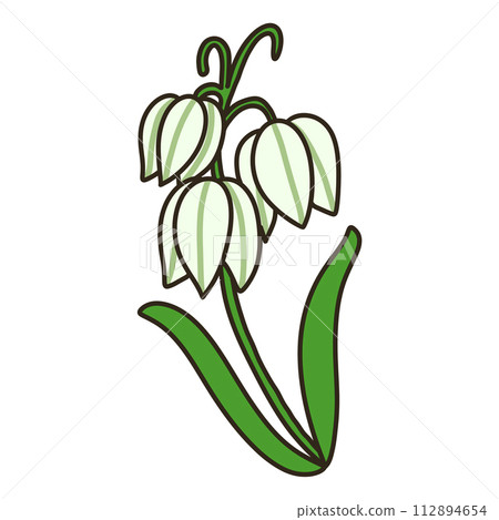 貝母 貝母 112894654