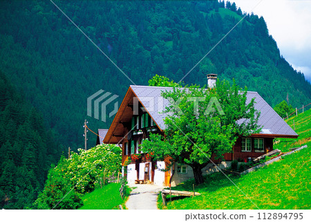 山上的房子前裝飾著鮮花 112894795