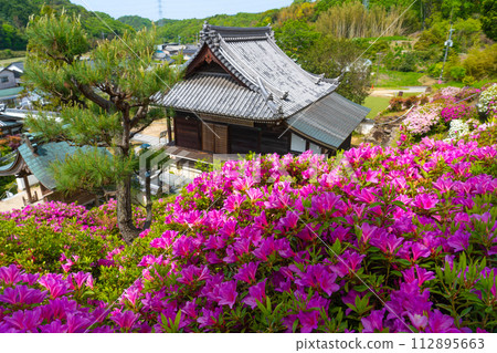 Hoon Daishi Bizen 48 temples Asahiji Temple 2 with azaleas in full bloom Setouchi City, Okayama Prefecture Hoon Daishi Bizen 48 temples Asahiji Temple 2 with azaleas in full bloom Setouchi City, Okayama Prefecture 112895663
