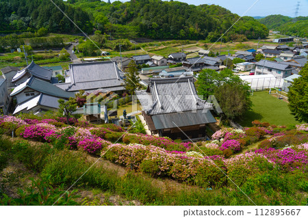 Hoon Daishi Bizen 48 temples Asahiji Temple 6 with azaleas in full bloom Setouchi City, Okayama Prefecture 112895667