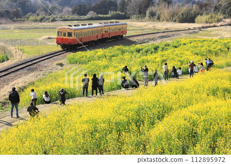 Kominato Railway "People taking pictures of trains at the rape blossom field in Ishigami" 112895972