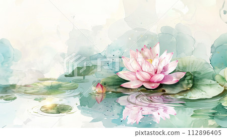 White pink waterlily or lotus flower in pond. White pink waterlily or lotus flower in pond. 112896405