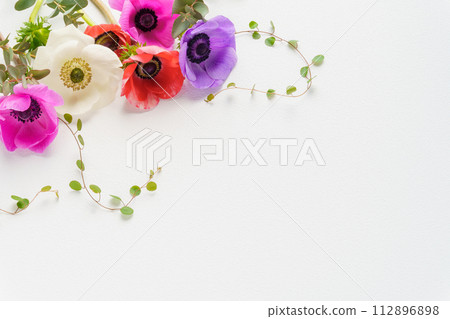 Anemone and wire plant flower frame Anemone and wire plant flower frame 112896898