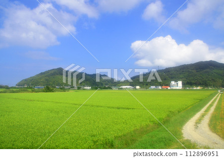 View from the train window from Kanoya Station to Echizen-Maebaru Station on the Chikuhi Line (2022) View from the train window from Kanoya Station to Echizen-Maebaru Station on the Chikuhi Line (2022) 112896951