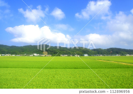 從築肥線鹿屋站到越前前原站的車窗所看到的景色(2022年) 從築肥線鹿屋站到越前前原站的車窗所看到的景色(2022年) 112896956