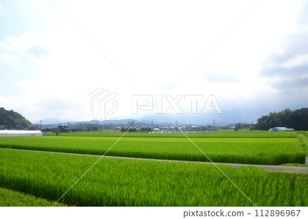 從築肥線鹿屋站到越前前原站的車窗所看到的景色(2022年) 從築肥線鹿屋站到越前前原站的車窗所看到的景色(2022年) 112896967
