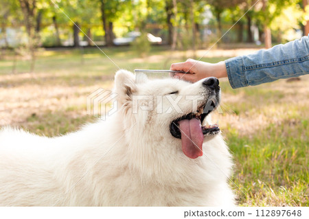 Love, friendship, caring for animals. 112897648