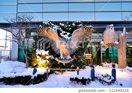 Scenery of Tancho Kushiro Airport, Hokkaido Scenery of Tancho Kushiro Airport, Hokkaido 112898526