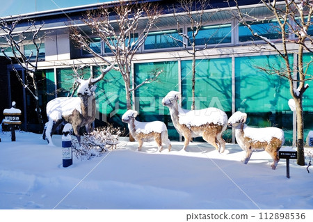 Scenery of Tancho Kushiro Airport, Hokkaido Scenery of Tancho Kushiro Airport, Hokkaido 112898536