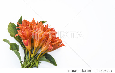 Bouquet of orange daylilies or hemerocallis fulva flowers on a white background 112898705