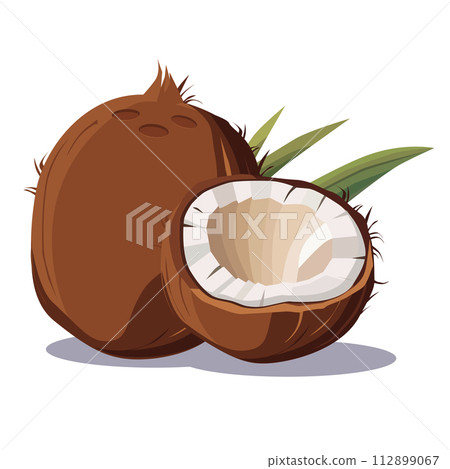 Juicy and healthy brown coconut isolated on white background. Vector fruit illustration in flat style. Summer clipart for design of card, banner, flyer, sale, poster, icons Juicy and healthy brown coconut isolated on white background. Vector fruit illustration in flat style. Summer clipart for design of card, banner, flyer, sale, poster, icons 112899067