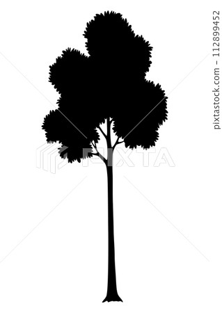 Tree silhouette. Forest and park deciduous tree. Vector nature isolated retro image 112899452