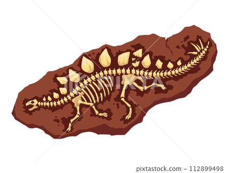 Dinosaur fossil skeleton bones, excavations of archeology isolated. Prehistoric reptile skeletons lying underground. Cartoon paleontological artifact 112899498