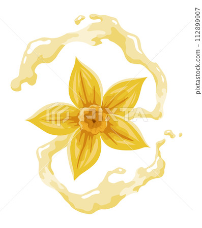 Vanilla flower. Realistic vector isolated design element. Nature spice. Yellow blossom with drops 112899907