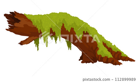 Log, stump in moss. Cartoon tree lichen in swamp jungle. Broken oak in tropical damp forest. Isolated vector design element on white background Log, stump in moss. Cartoon tree lichen in swamp jungle. Broken oak in tropical damp forest. Isolated vector design element on white background 112899989