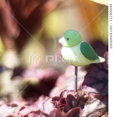 繩鳥 繩鳥 112900048