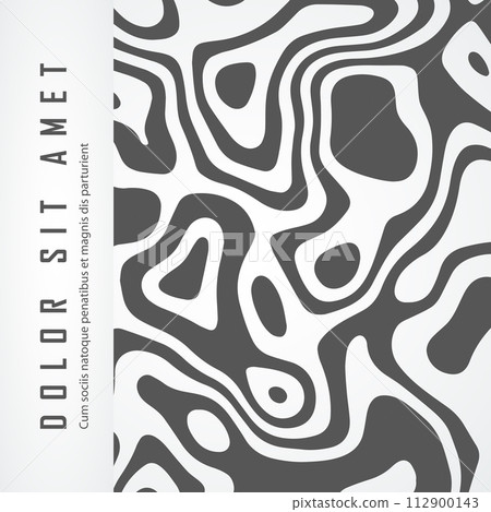 Topographic map patterns. Abstract map pattern. Topography line. Geography land outline 112900143