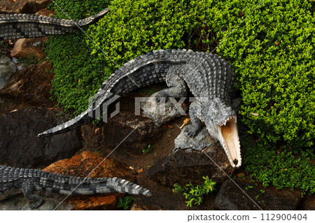 Pattaya,Thailand-September 4,2020 112900404