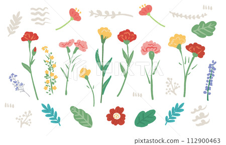 Hand drawn illustration set of carnations and flowers 112900463