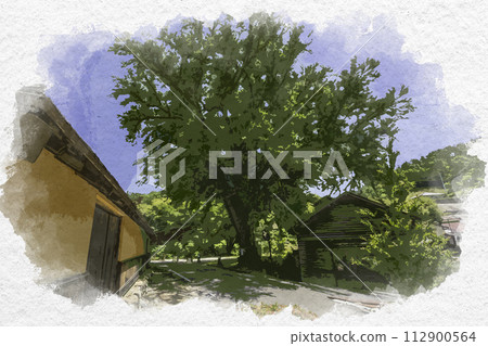 水彩畫風格，雲南，菅谷多多羅山內，多多羅田地保護樹，桂樹，島根縣雲南市 112900564