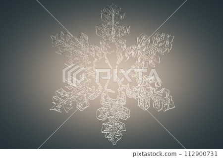 Snowflake gray background microscope observation sketch 112900731