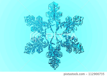 Snowflake blue staining microscope observation sketch Snowflake blue staining microscope observation sketch 112900735