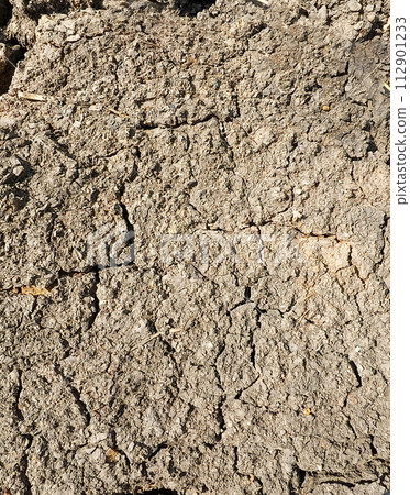 texture of surface of the soil is dry and cracked. texture of surface of the soil is dry and cracked. 112901233