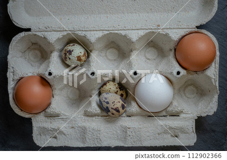Fresh quail and chicken eggs in a paper tray, top view selective focus Fresh quail and chicken eggs in a paper tray, top view selective focus 112902366