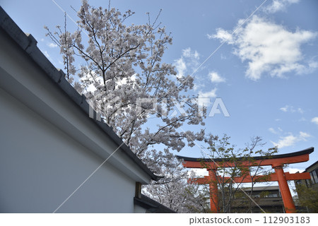 Fushimi Inari in spring 112903183