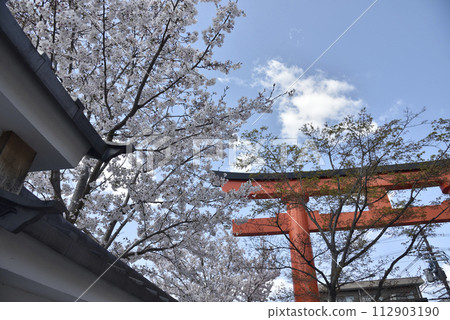 Fushimi Inari in spring 112903190