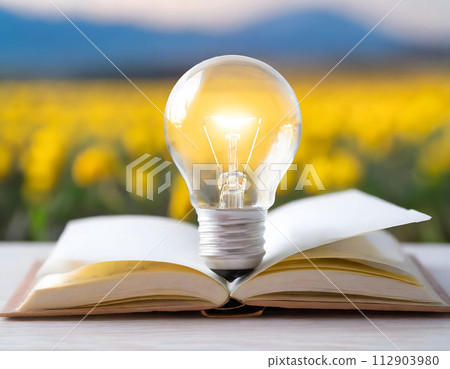 Lamp and brain symbol of mind and intelligence. Concept idea in business and education, startup and entrepreneurship. Lamp and brain symbol of mind and intelligence. Concept idea in business and education, startup and entrepreneurship. 112903980