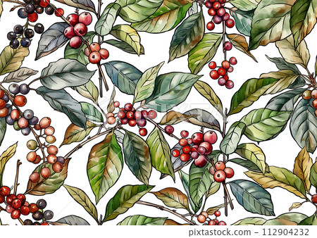 Coffee tree. Branch with leaves and berries.  112904232