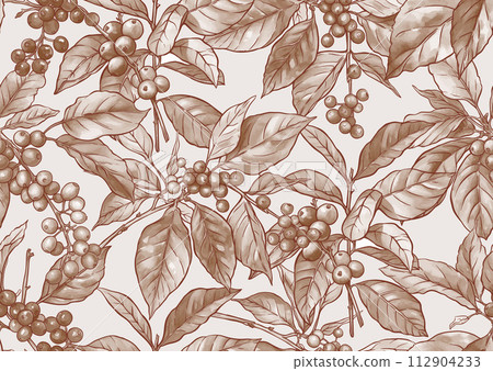 Coffee tree. Branch with leaves and berries.  112904233