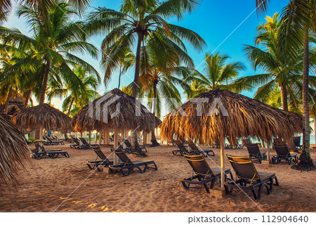 Tropical carribbean beach 112904640
