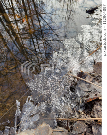 thin transparent ice on a puddle in the park on a spring day, foliage through the ice, dry grass through ice thin transparent ice on a puddle in the park on a spring day, foliage through the ice, dry grass through ice 112904897
