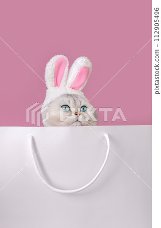 Close up of cute white cat in a hat with bunny ears , sits in large white paper bag 112905496