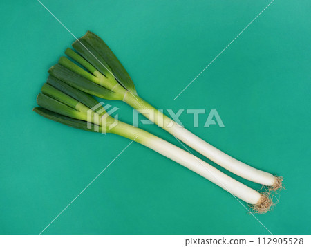 Green onion Senju green onion Green onion Senju green onion 112905528