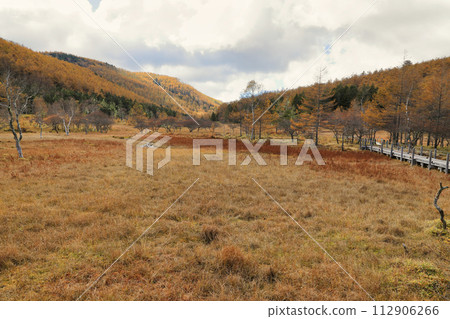 Autumn scenery of autumn leaves on Mt. Nyukasa (Oabara Wetland / October) 112906266