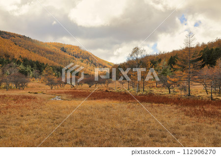 Autumn scenery of autumn leaves on Mt. Nyukasa (Oabara Wetland / October) 112906270