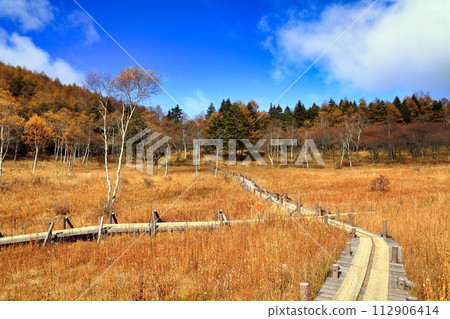 Autumn scenery of autumn leaves on Mt. Nyukasa (Nyukasa Wetland / October) Autumn scenery of autumn leaves on Mt. Nyukasa (Nyukasa Wetland / October) 112906414