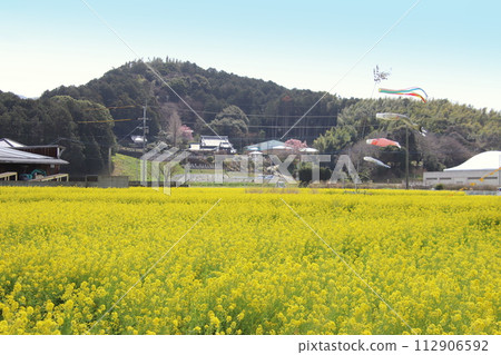 福岡縣古河市柿內油菜公園 福岡縣古河市柿內油菜公園 112906592