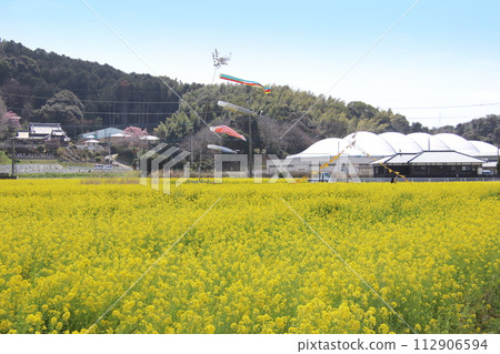 福岡縣古河市柿內油菜公園 福岡縣古河市柿內油菜公園 112906594