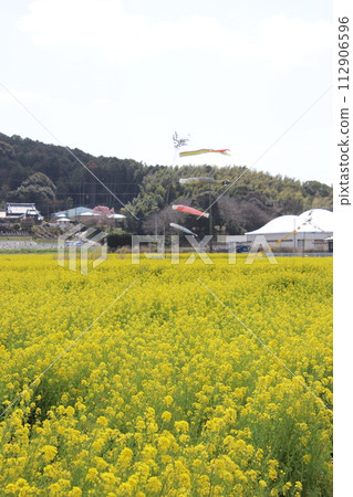 福岡縣古河市柿內油菜公園 112906596