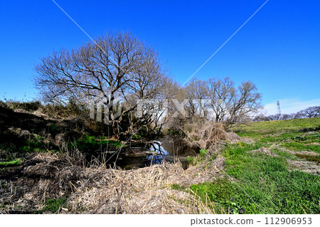 由沼澤和巨大的紅柳樹形成的典型平原河床的遺跡。 112906953