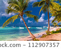 Caribbean sea view, Saona Island Beach, Dominican Republic 112907357