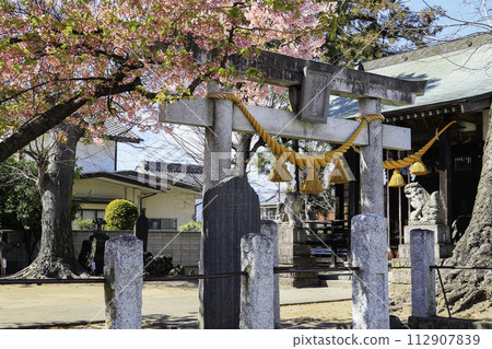 櫻花盛開的小神社 櫻花盛開的小神社 112907839