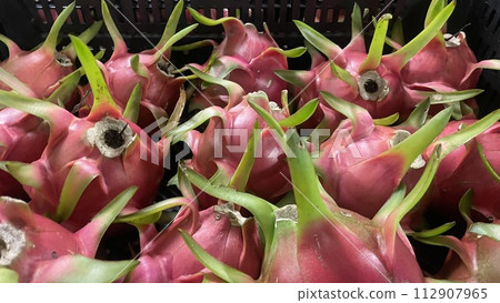 dragon fruit australia 112907965